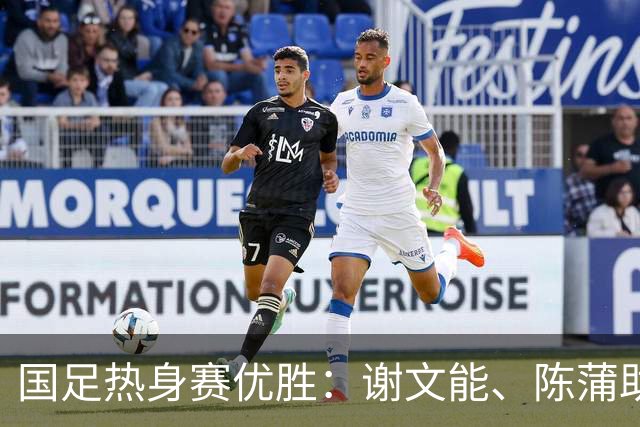国足热身赛优胜：谢文能、陈蒲助力山东泰山连胜之路